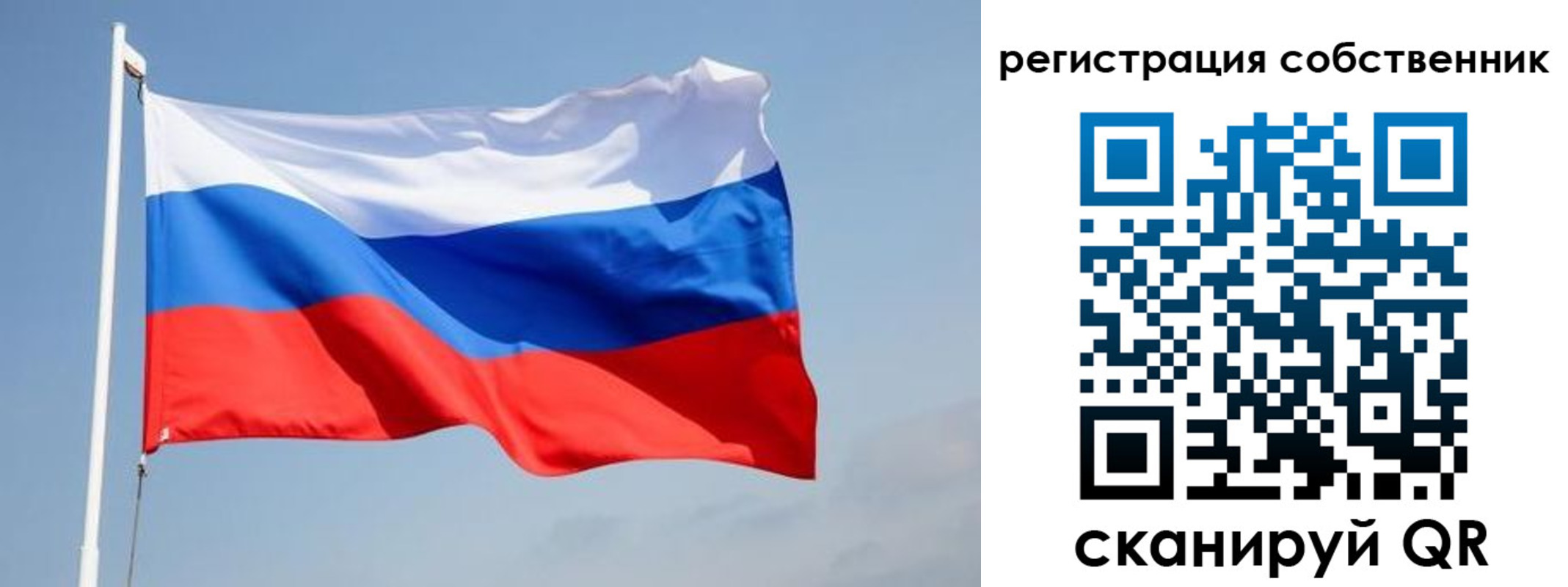 где прописаться в Покрове